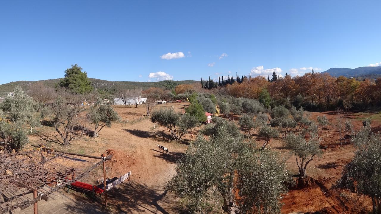 Relax In 'Crazy Farm' Villa Asprokhorion Екстериор снимка